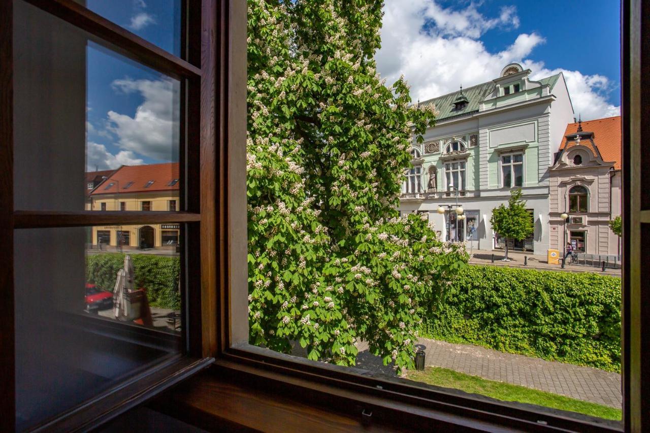 Castle Hotel & Wellness Poděbrady Kültér fotó